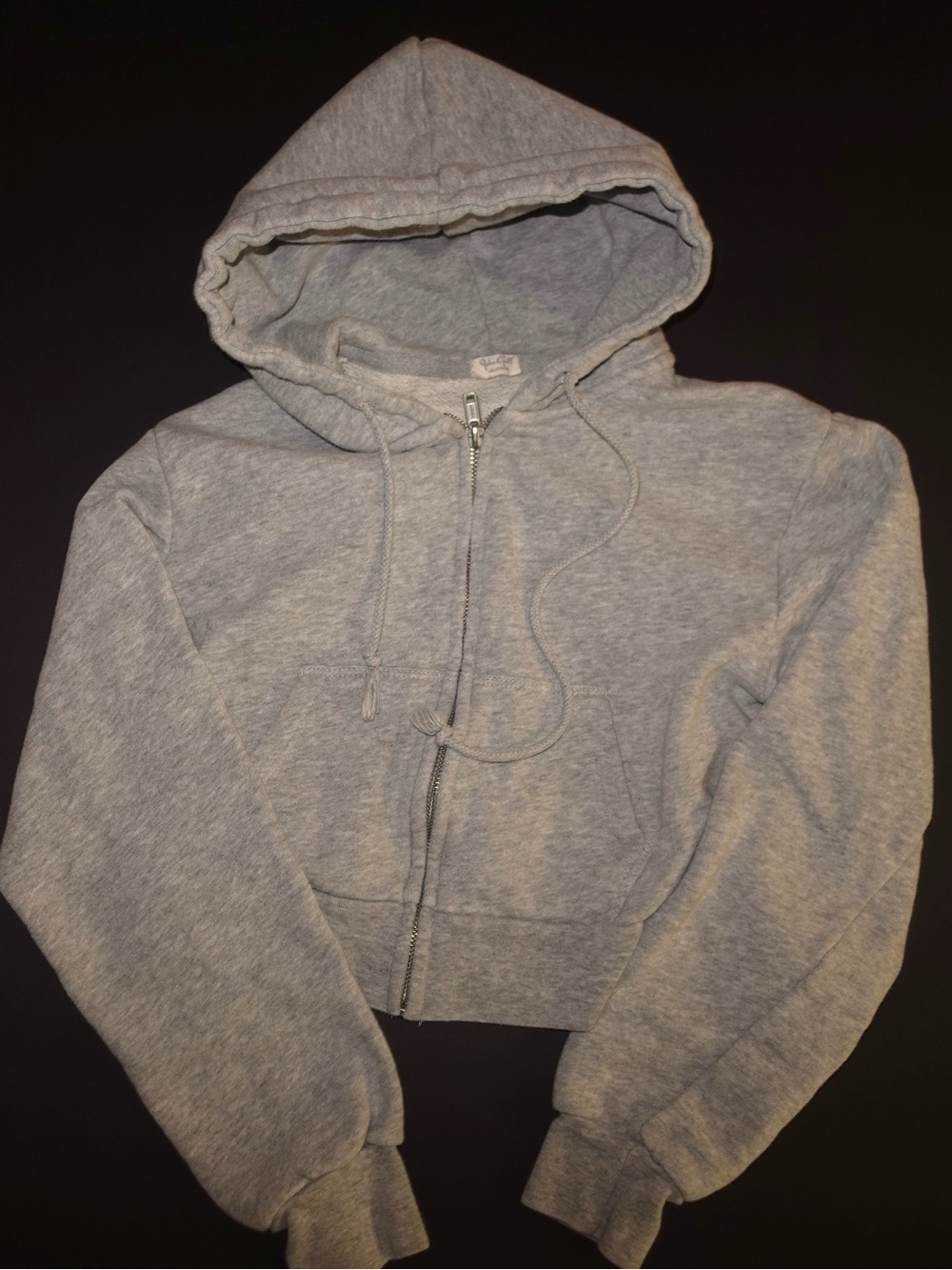 Grey brandy Melville zip up